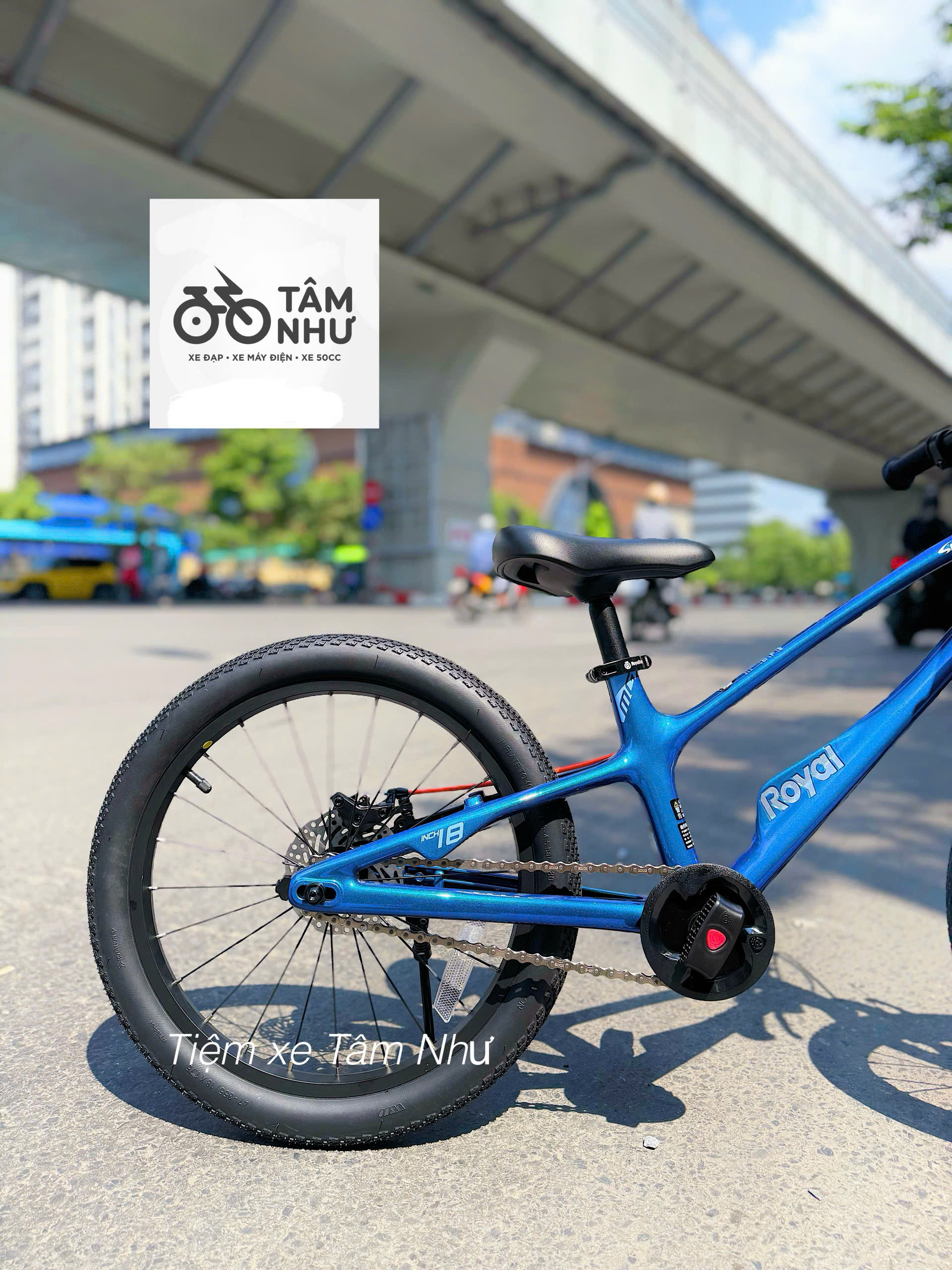 Xe đạp trẻ em Royalbaby EZ Space Shark 18 inch - Xám