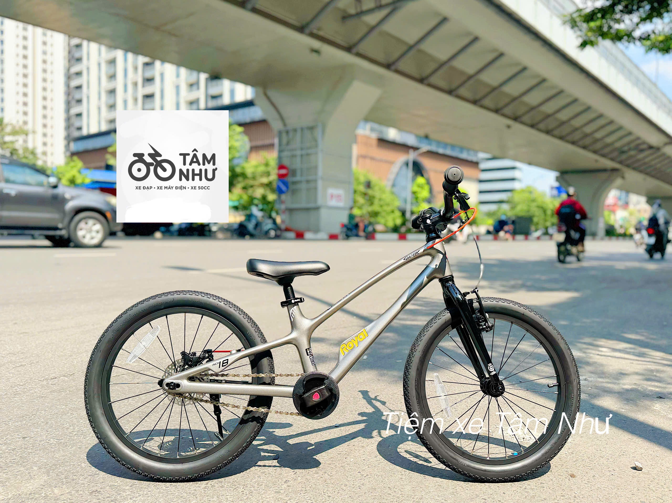 Xe đạp trẻ em Royalbaby EZ Space Shark 18 inch - Xanh