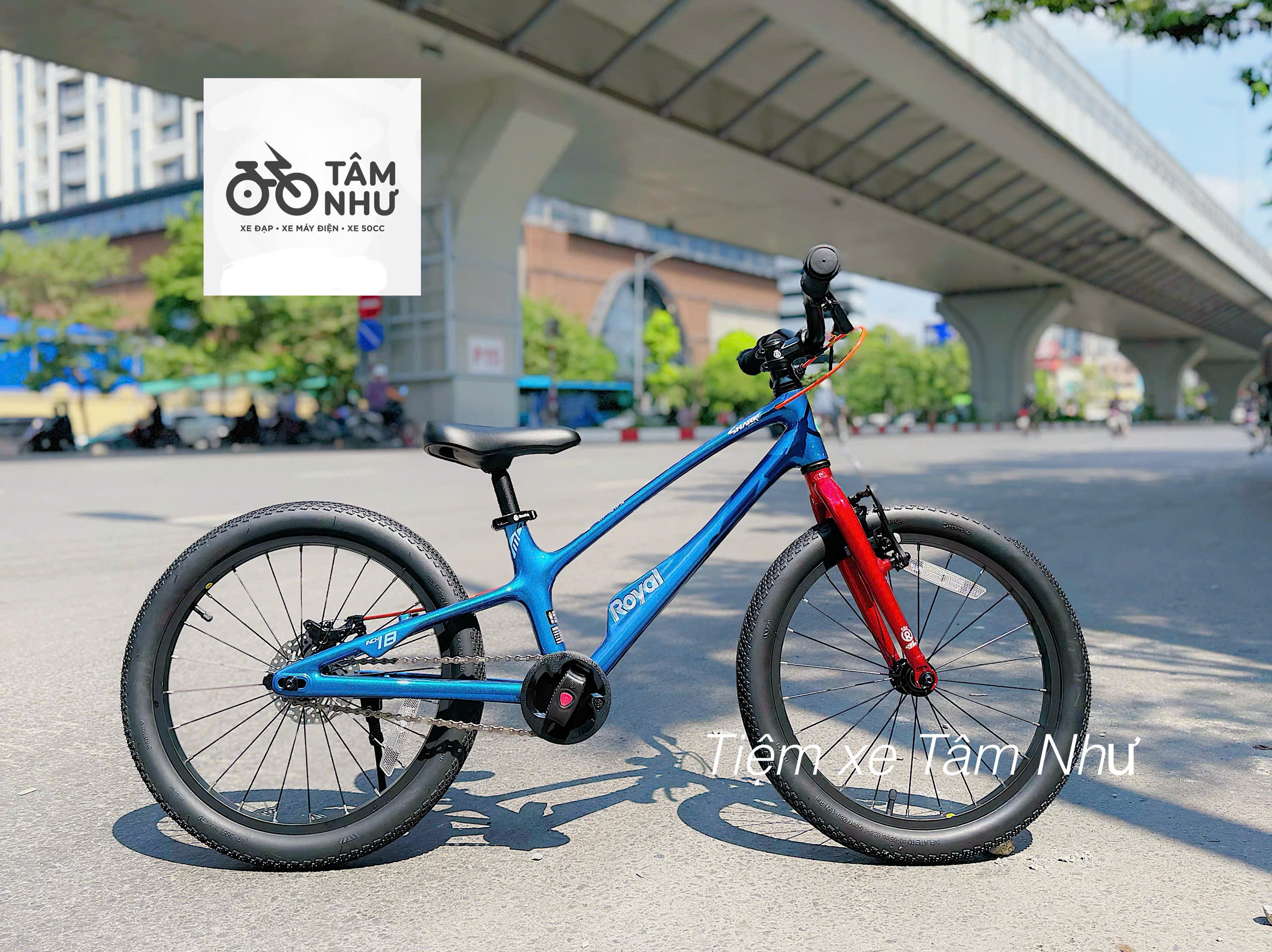 Xe đạp trẻ em Royalbaby EZ Space Shark 18 inch - Xám