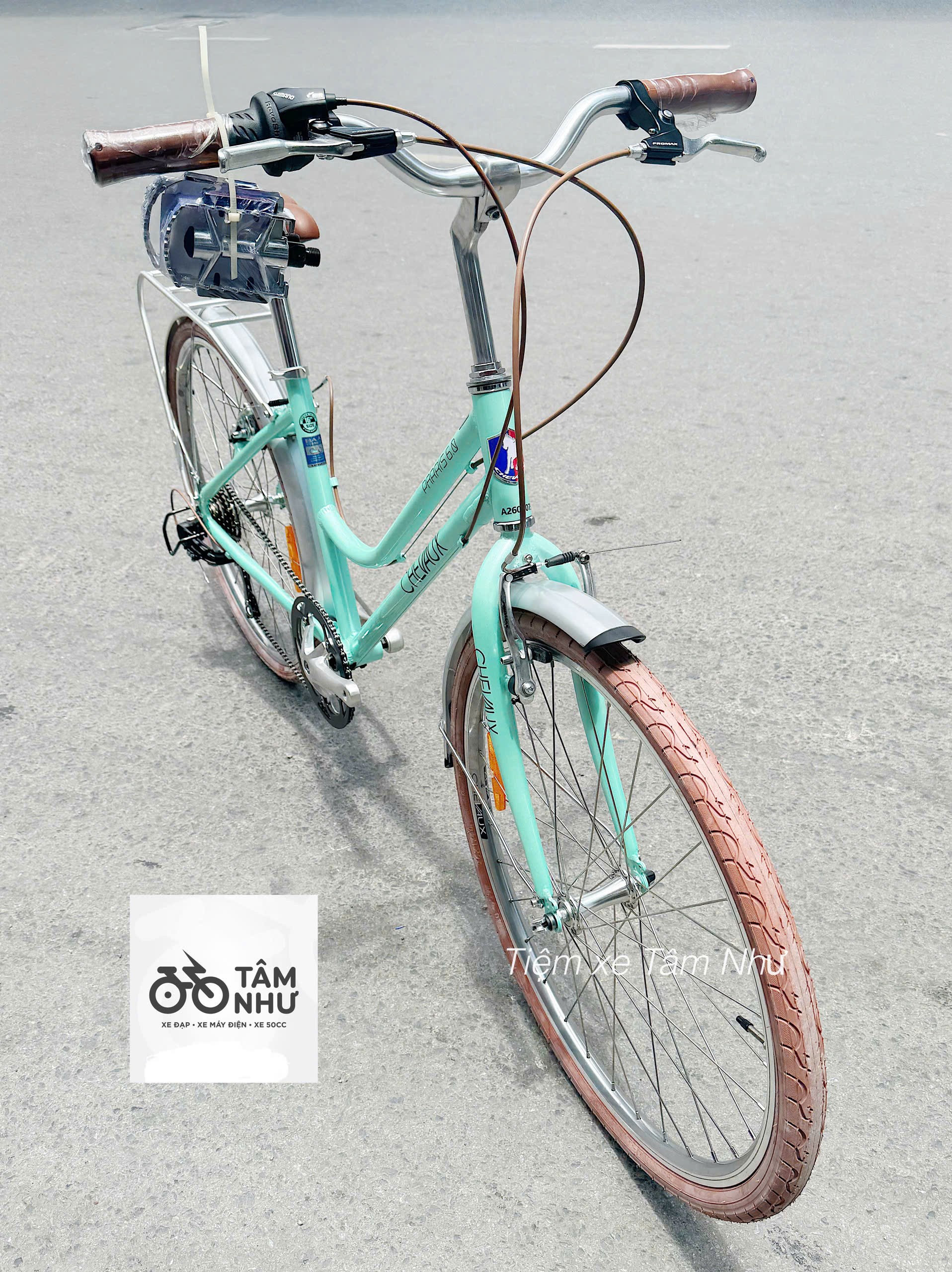 Xe Đạp Mini CHEVAUX PARRIS 6.0