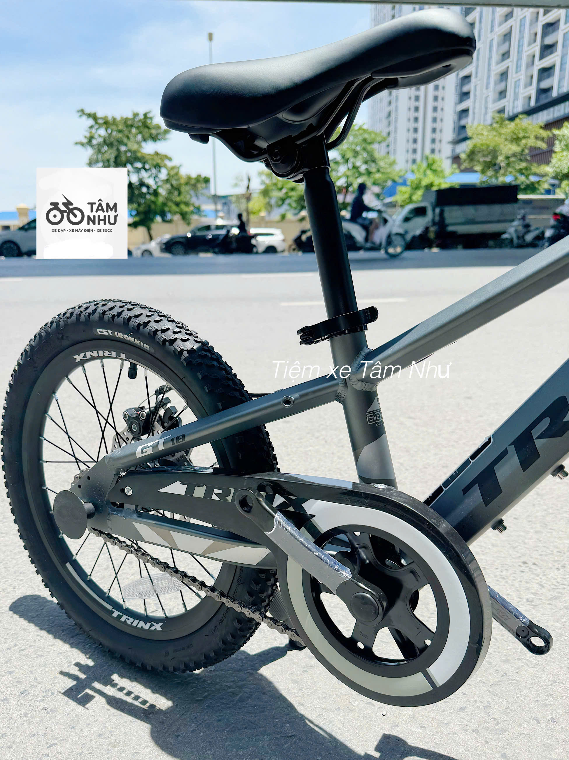 Xe đạp Trẻ Em Trinx GT 18 INCH - Ghi Đen