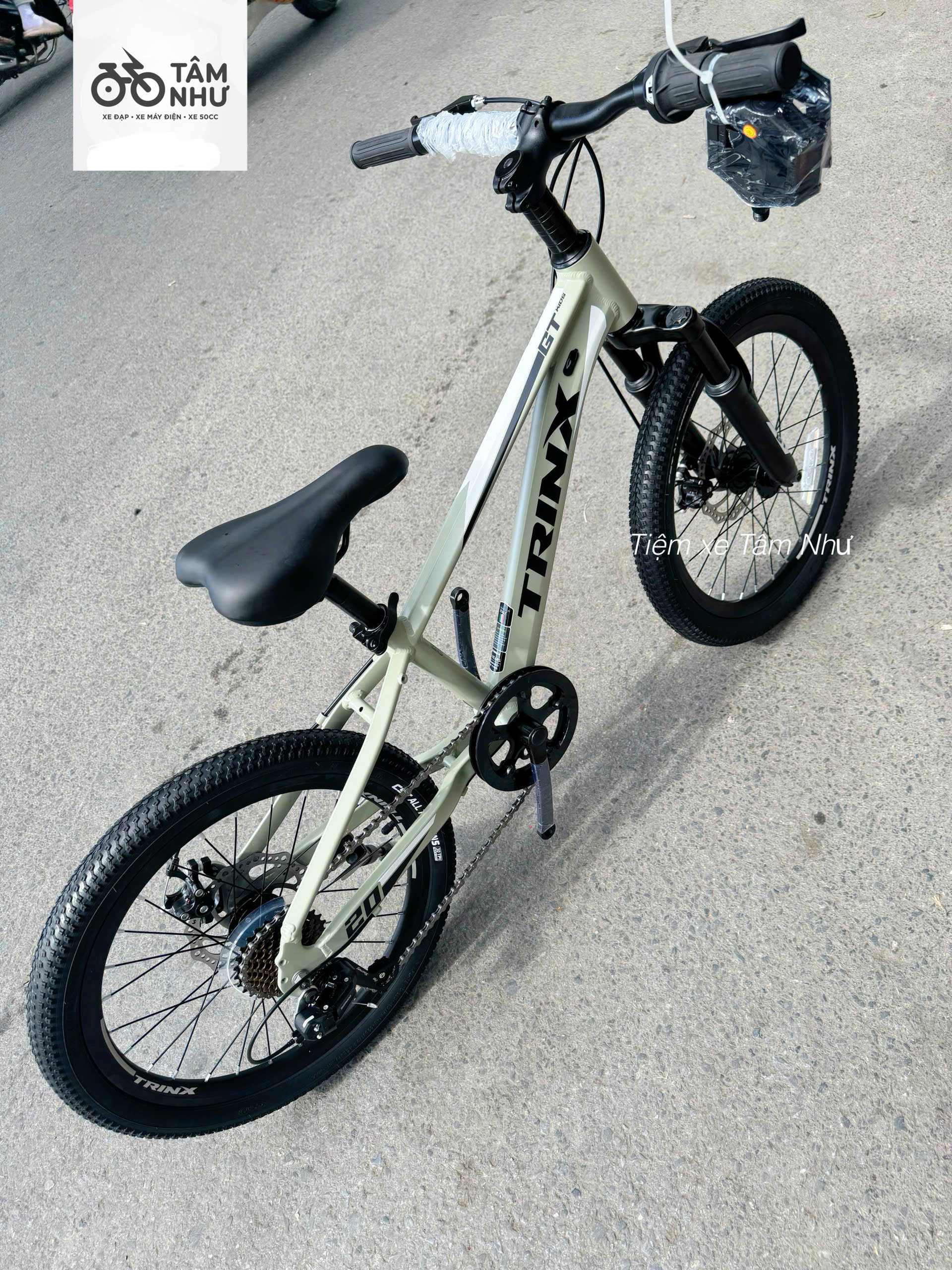 Xe đạp Trẻ Em Trinx GT 20 INCH - Xanh Trắng
