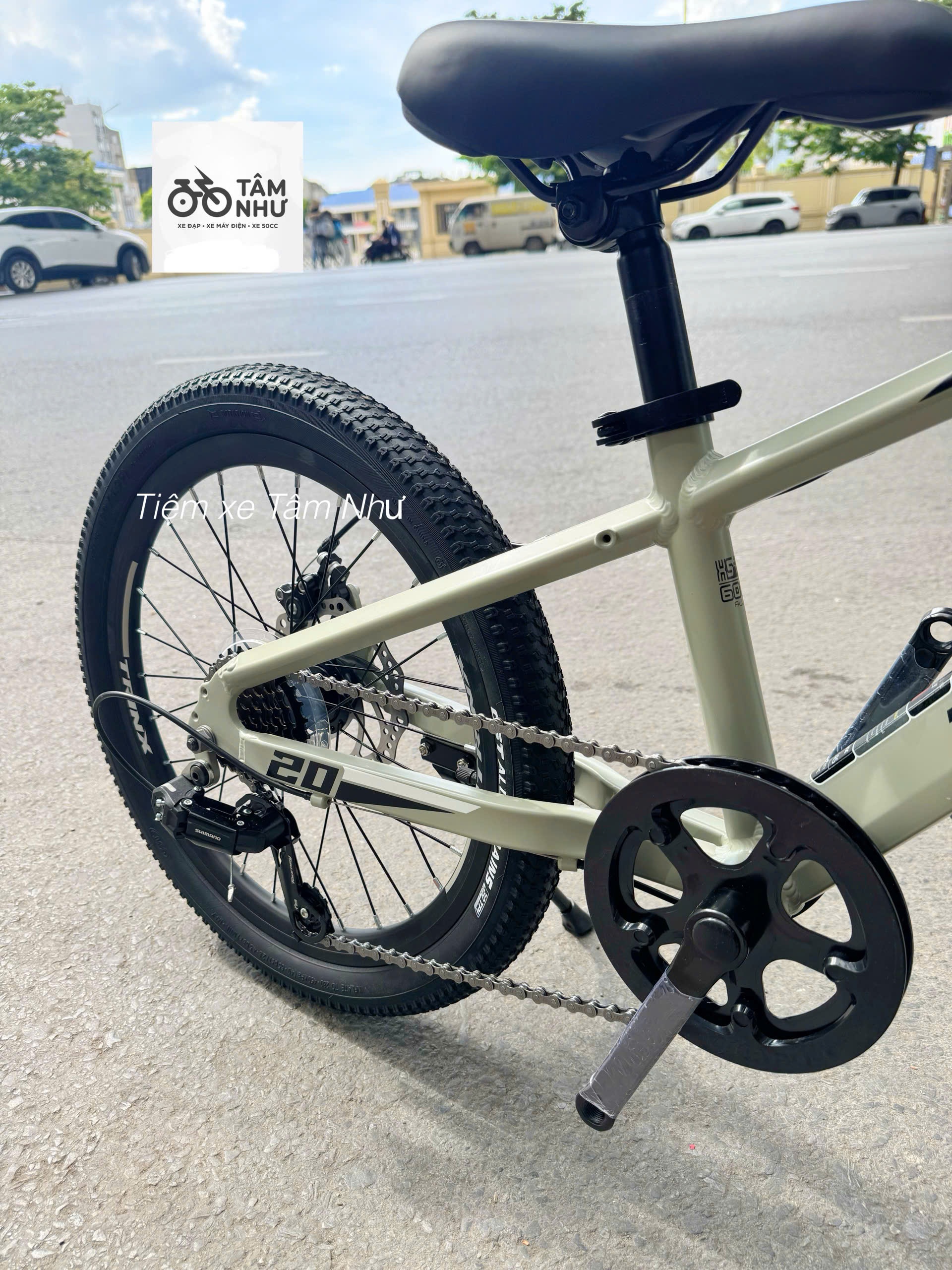 Xe đạp Trẻ Em Trinx GT 20 INCH - Xanh Trắng