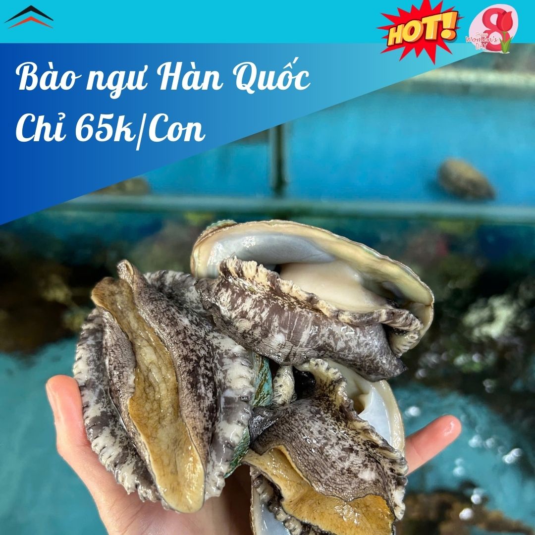 BÀO NGƯ HÀN QUỐC GIẢM SỐC CHỈ 65K/CON - NHẬN CHẾ BIẾN