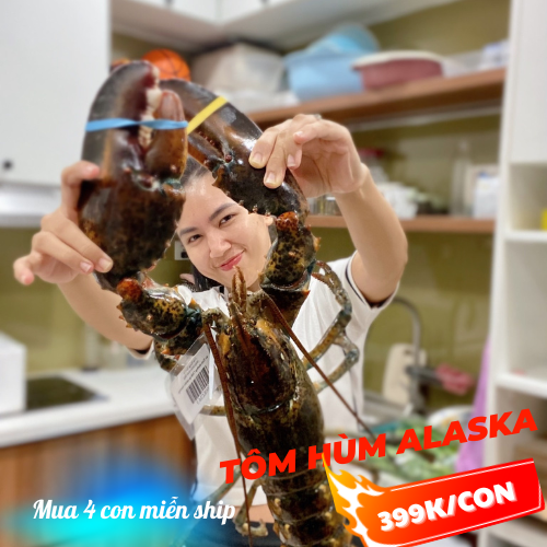 TÔM HÙM ALASKA SỐNG 399K/CON: NÉT ĐẸP BIỂN ĐÔNG, TRÔNG ĐÃ THẤY CHẢNH