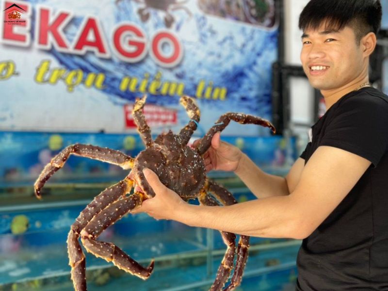 MÙA ĐÁNH BẮT CUA HOÀNG ĐẾ LÀ MÙA NÀO?