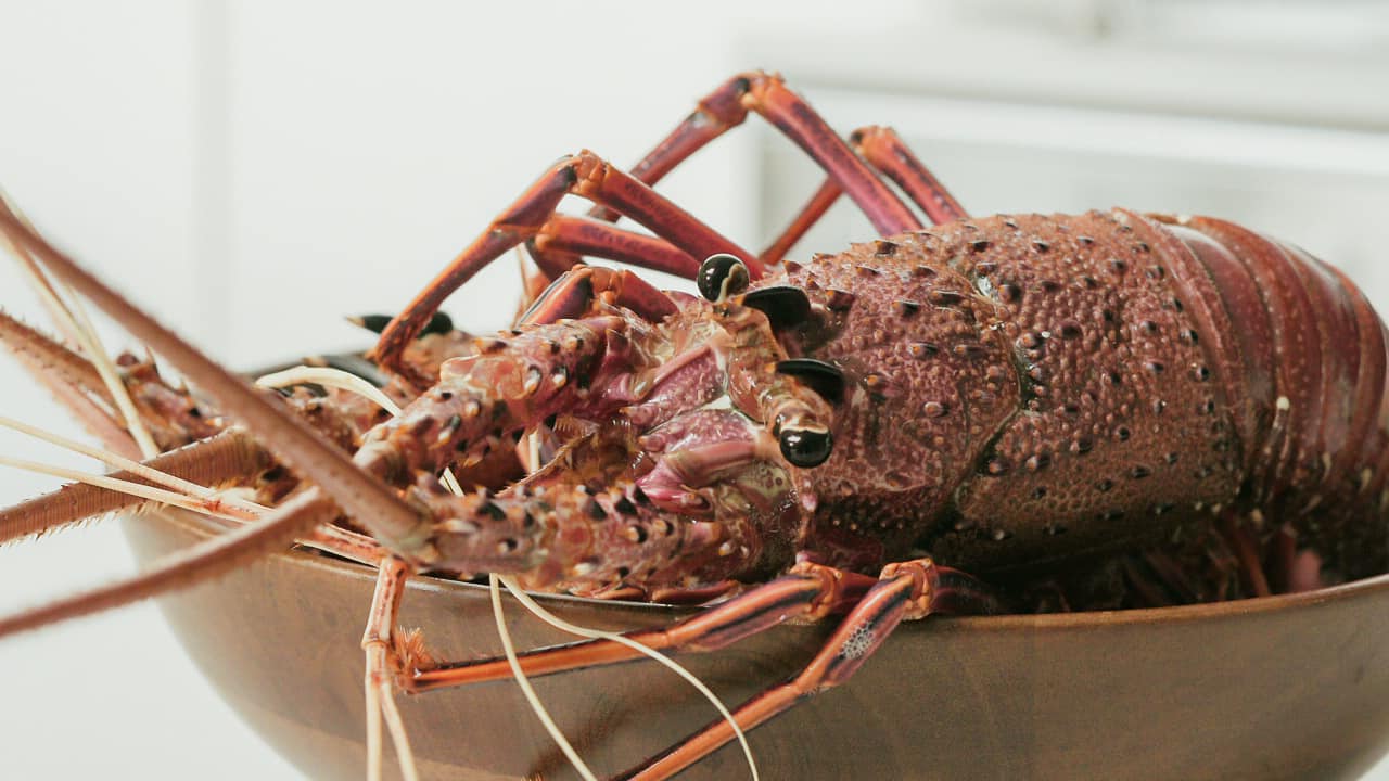 BỮA TIỆC SANG TRỌNG TINH TẾ CÁC MÓN TỪ TÔM HÙM TÂY ÚC