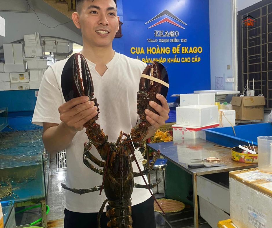 BÁO GIÁ TÔM HÙM ALASKA THÁNG 1/2025