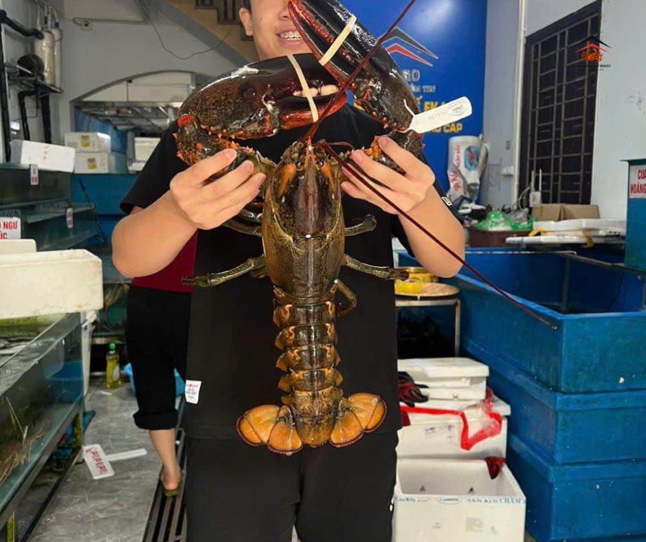 TẶNG HẢI SẢN DỊP 8/3: XU HƯỚNG QUÀ TẶNG ĐỘC ĐÁO Ý NGHĨA