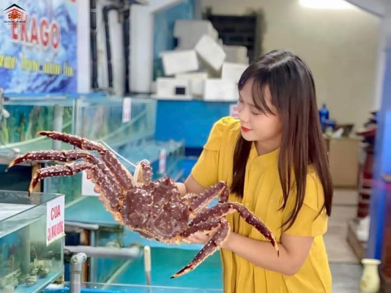 CUA HOÀNG ĐẾ GIÁ HIỆN TẠI BAO NHIÊU?