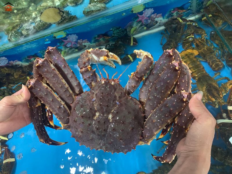 Cua Hoàng Đế Nướng Bơ Tỏi – Công Thức Chế Biến Tuyệt Hảo