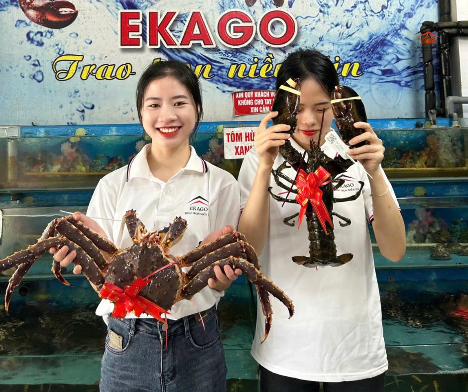 CUA HOÀNG ĐẾ GIẢM SỐC 505 CHỈ CÒN - CHỈ 1.450K/KG!