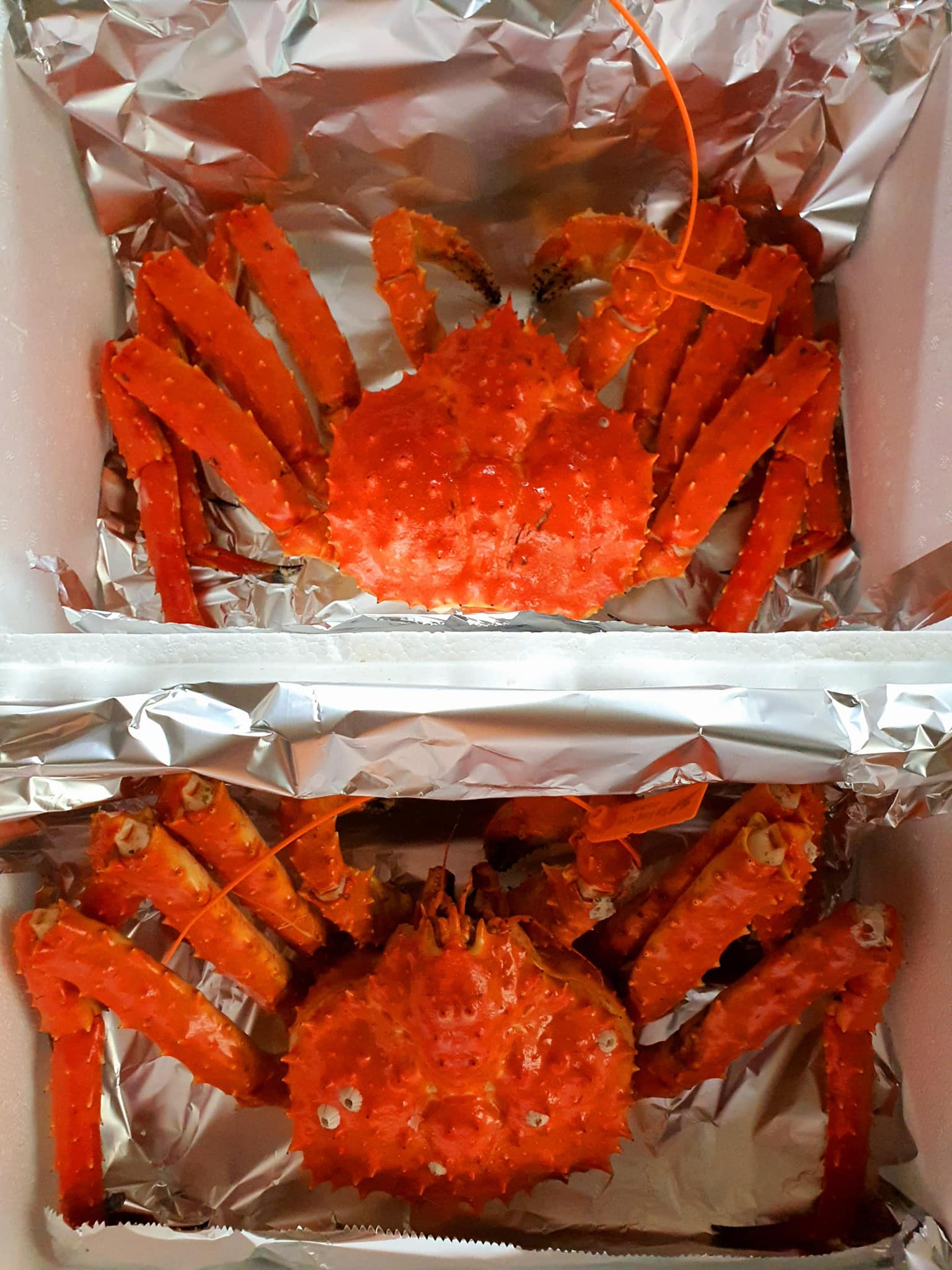 CUA HOÀNG ĐẾ ALASKA CÓ NHIỀU GẠCH KHÔNG? BÍ QUYẾT CHỌN CUA GẠCH ĐẦY CHO BỮA TIỆC THÊM TRỌN VỊ