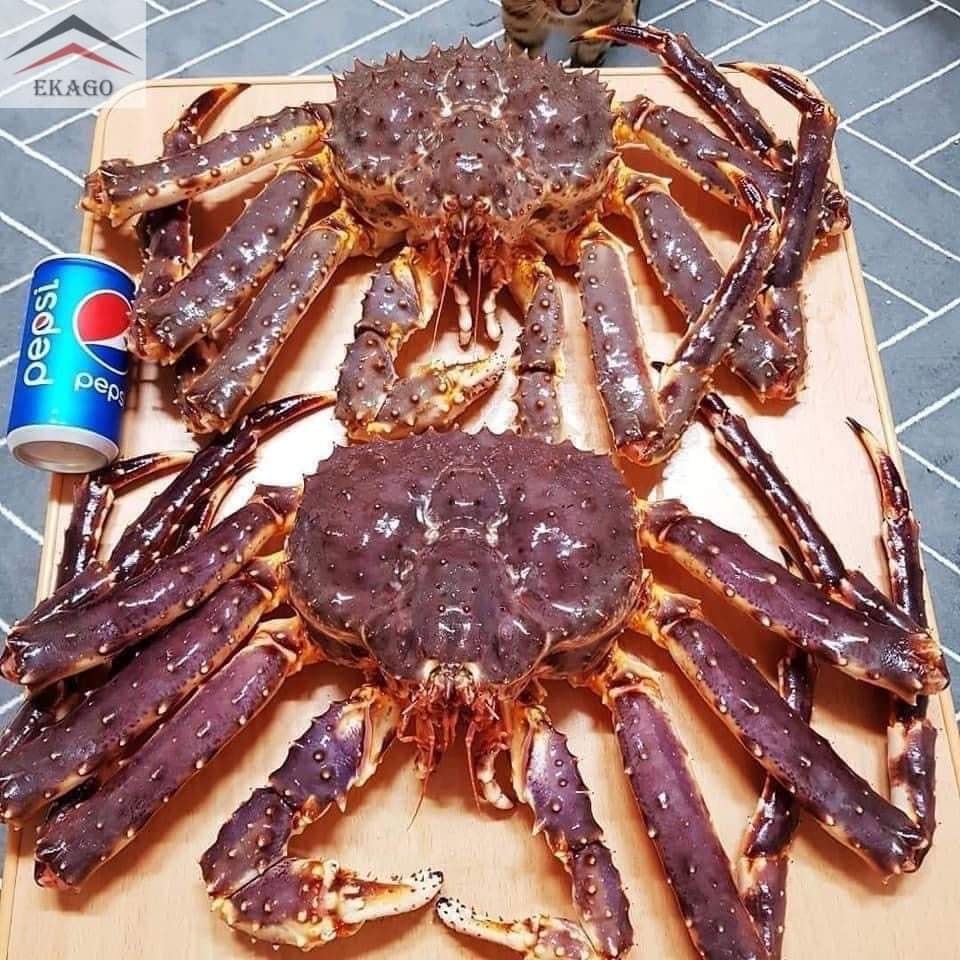 CUA HOÀNG ĐẾ NGỘP VẪN NGON, NẾU BIẾT CÁCH CHỌN MUA