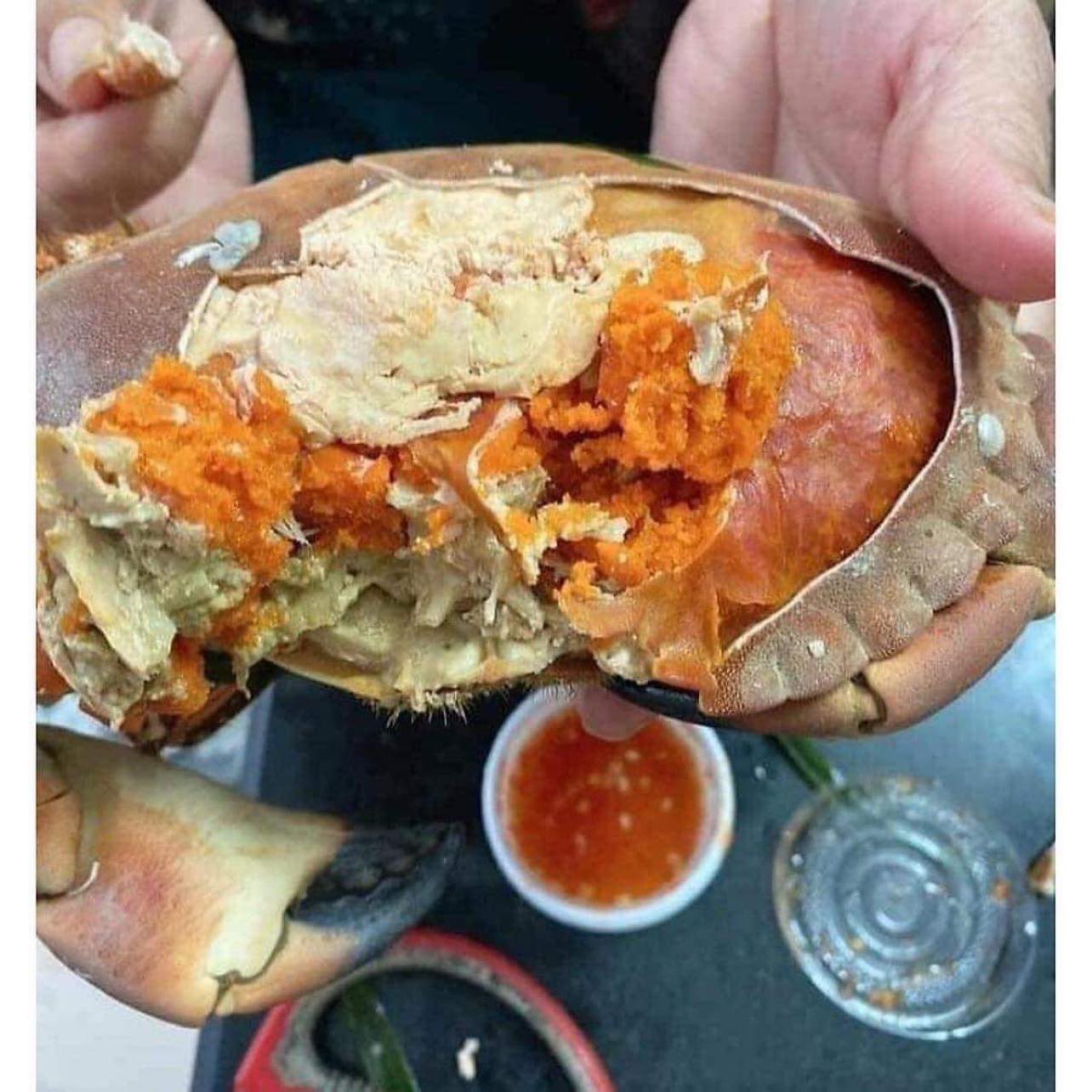 MÓN NGON ĐƯỢC CHẾ BIẾN TỪ CUA NÂU NAUY