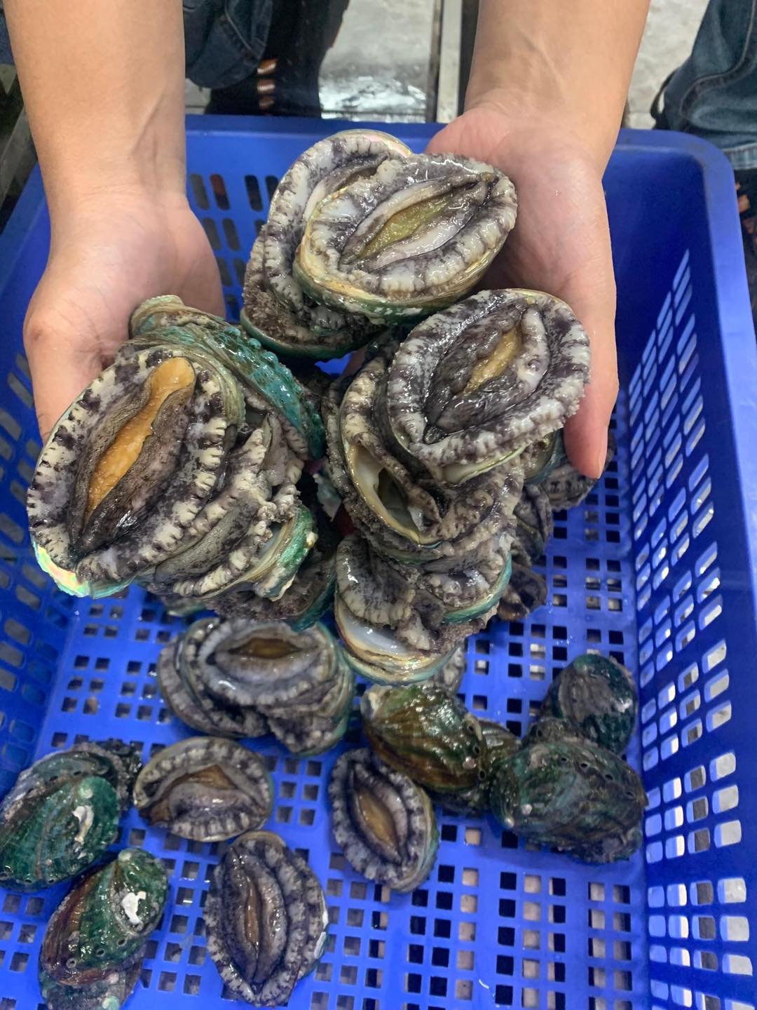 HƯƠNG VỊ TUYỆT ĐỈNH CỦA BÀO NGƯ HÀN QUỐC