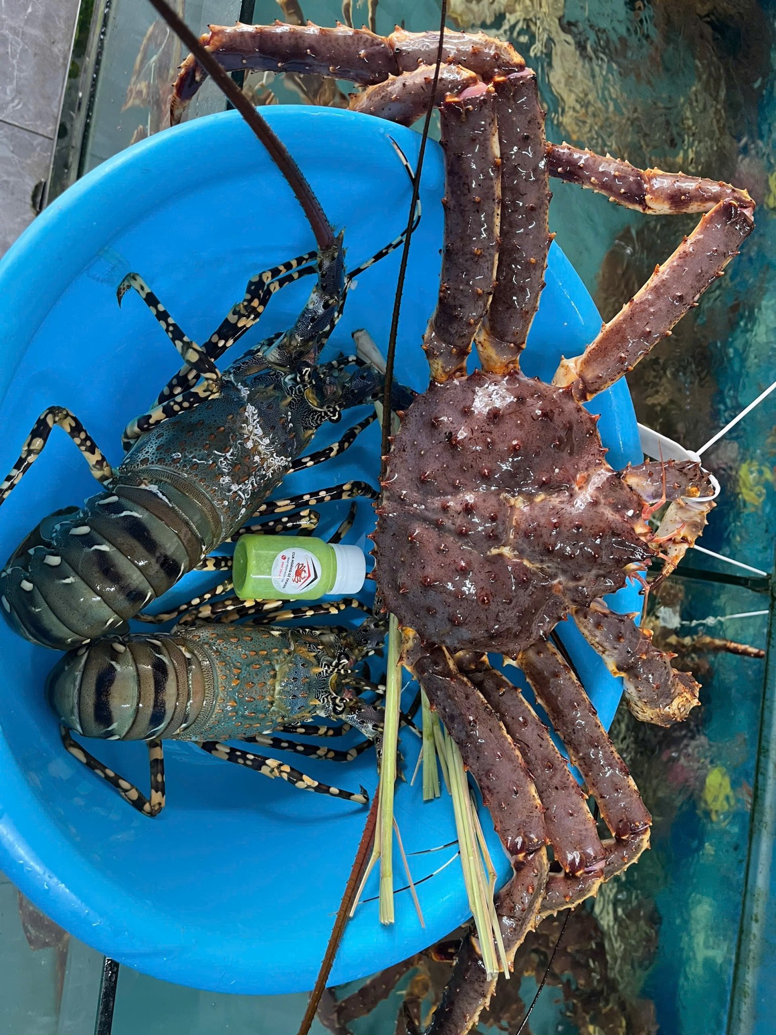 COMBO CUA HOÀNG ĐẾ & TÔM HÙM BÔNG DỊP 30/4 – MÓN QUÀ ẨM THỰC ĐỈNH CAO CHO NGƯỜI THÂN