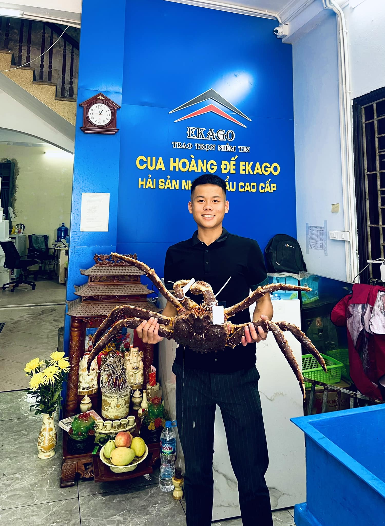 SỰ KHÁC BIỆT CỦA CUA HOÀNG ĐẾ VỚI CÁC LOÀI CUA KHÁC NHẬP KHẨU