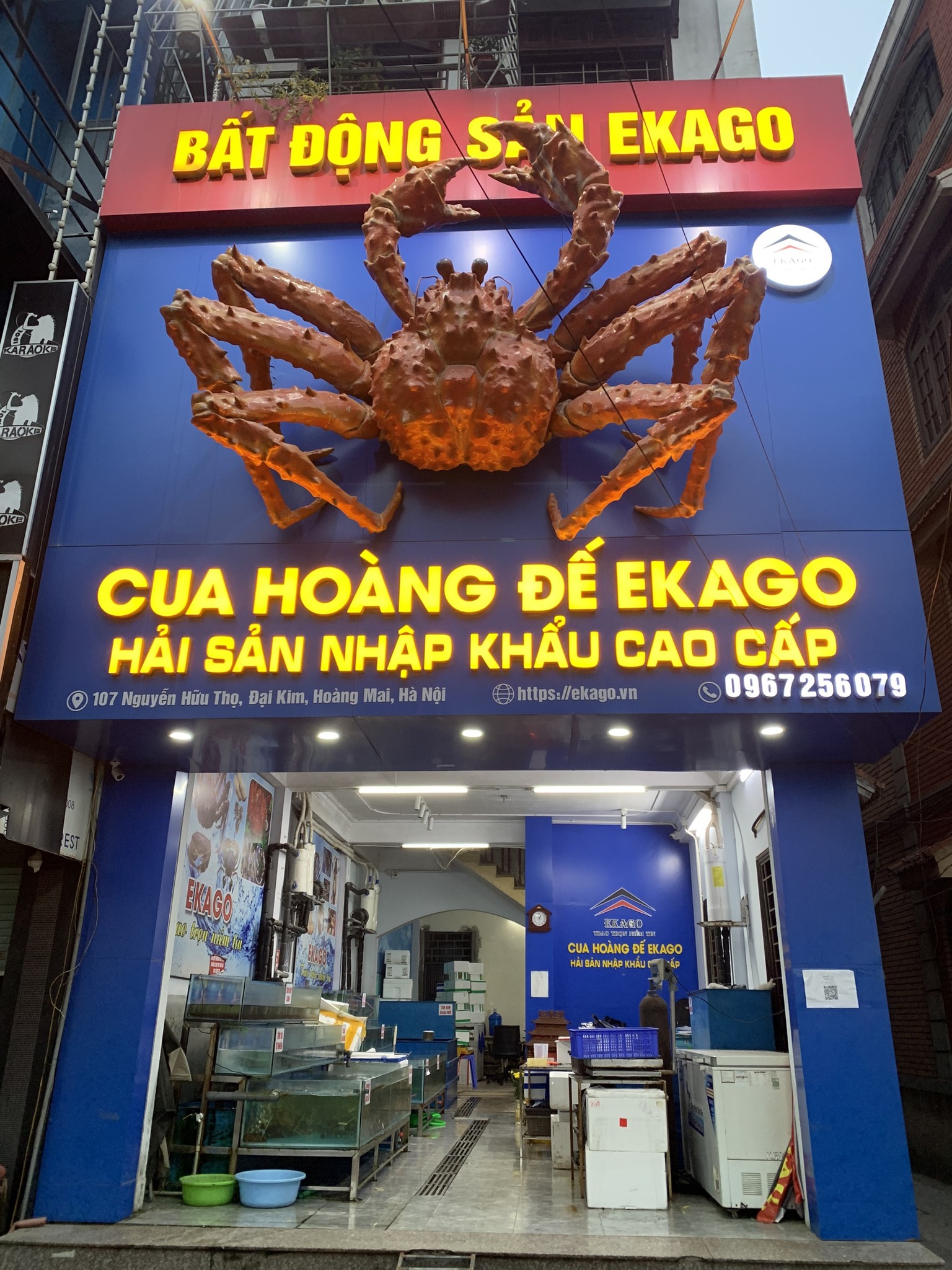 TÔM HÙM VIỆT NAM CÓ MẤY LOẠI - PHÂN BIỆT CÁC LOẠI TÔM HÙM VIỆT NAM