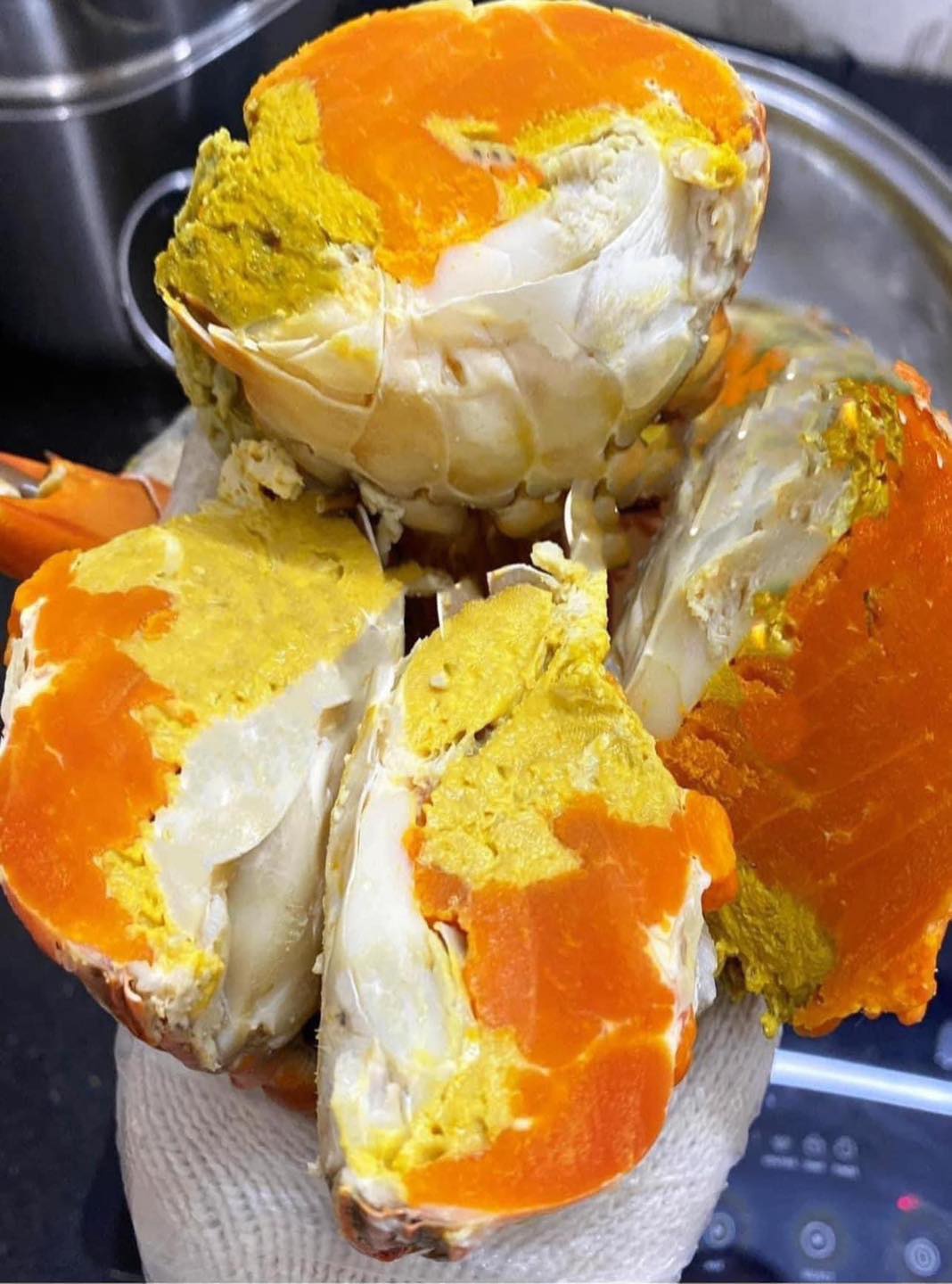 MUA CUA CÀ MAU Ở ĐÂU UY TÍN HÀ NỘI? BẬT MÍ ĐỊA CHỈ NGƯỜI SÀNH ĂN TIN CHỌN