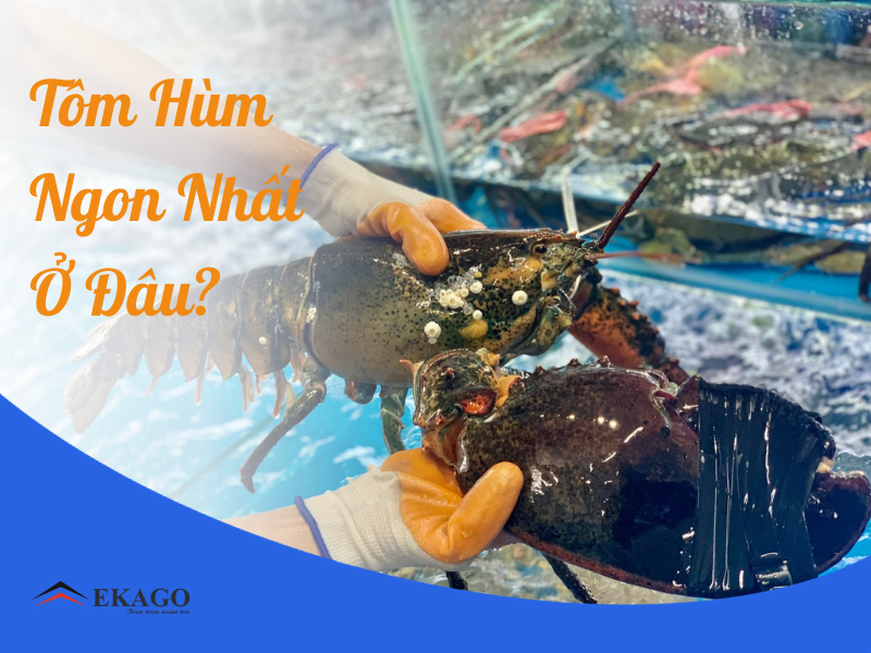 TÔM HÙM Ở ĐÂU LÀ NGON NHẤT?