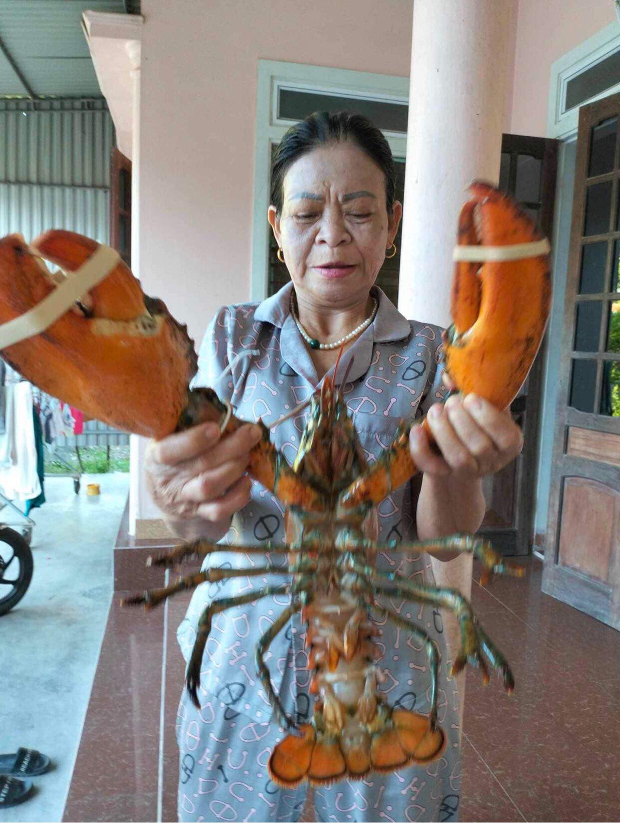 TẤT TẦN TẬT VỀ TÔM HÙM ALASKA – MÙA GIẢM GIÁ SÂU, GIÁ CHỈ TỪ 420.000Đ/CON!