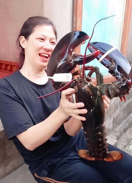 THÁNG 5 - TÔM HÙM ALASKA VÀO MÙA GIÁ TỐT