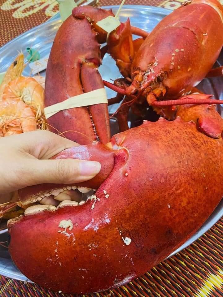 TÔM HÙM ALASKA BIỂU TƯỢNG THỊNH VƯỢNG TRÊN BÀN TIỆC