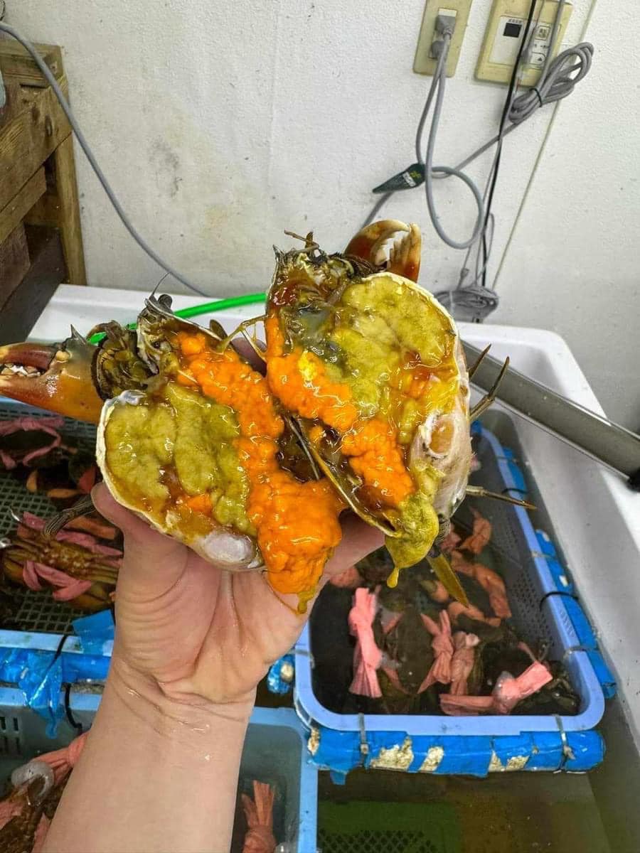 TOP 5 HẢI SẢN GIÀU CANXI NHẤT