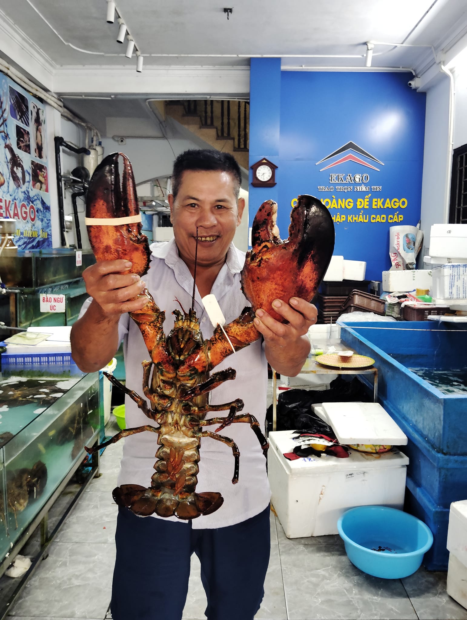 TÔM HÙM ALASKA – ĐẶC SẢN CAO CẤP MỞ MÀN THÁNG TRI ÂN