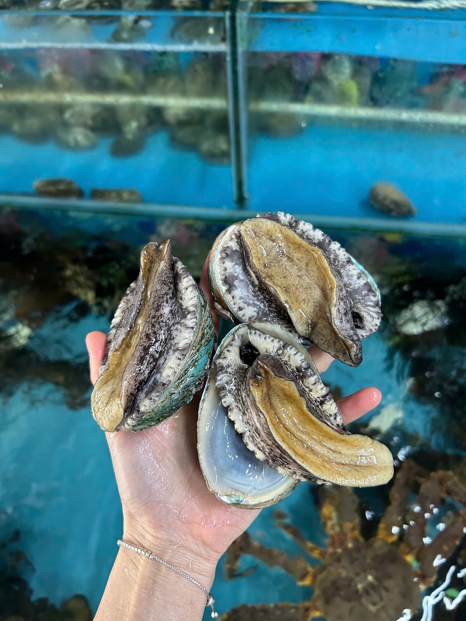 TOP 3 MÓN HẢI SẢN GIÚP NÀNG RẠNG RỠ