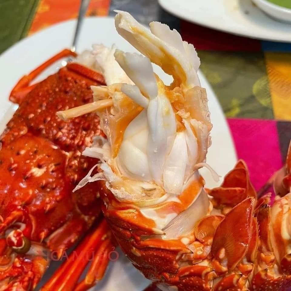 TÔM HÙM ALASKA KHỦNG 5KG GIÁ BAO NHIÊU?