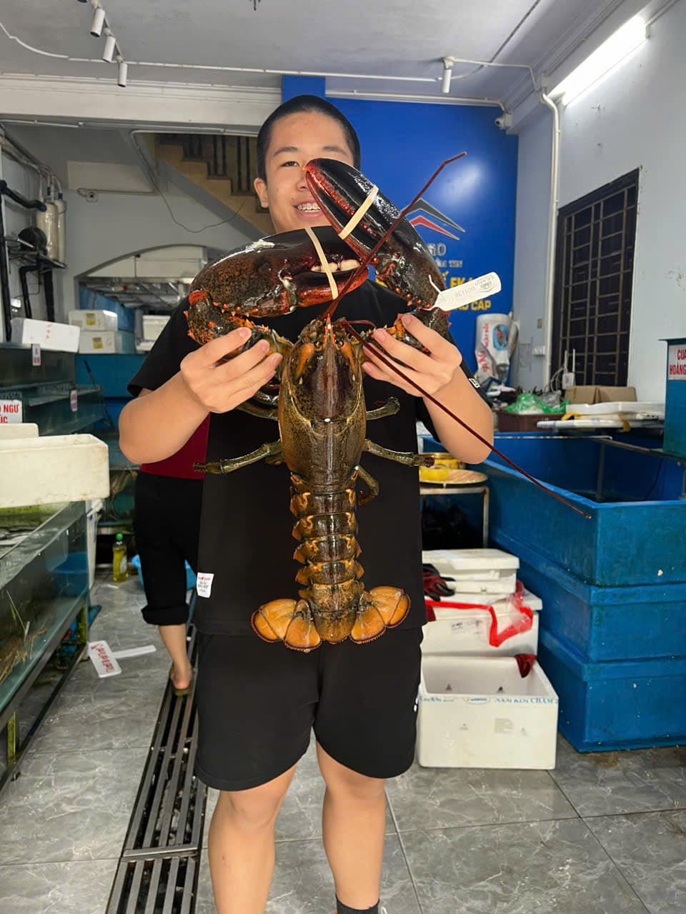 TÔM HÙM ALASKA – BIỂU TƯỢNG CỦA ĐẲNG CẤP ẨM THỰC VÀ NGHỆ THUẬT THƯỞNG THỨC