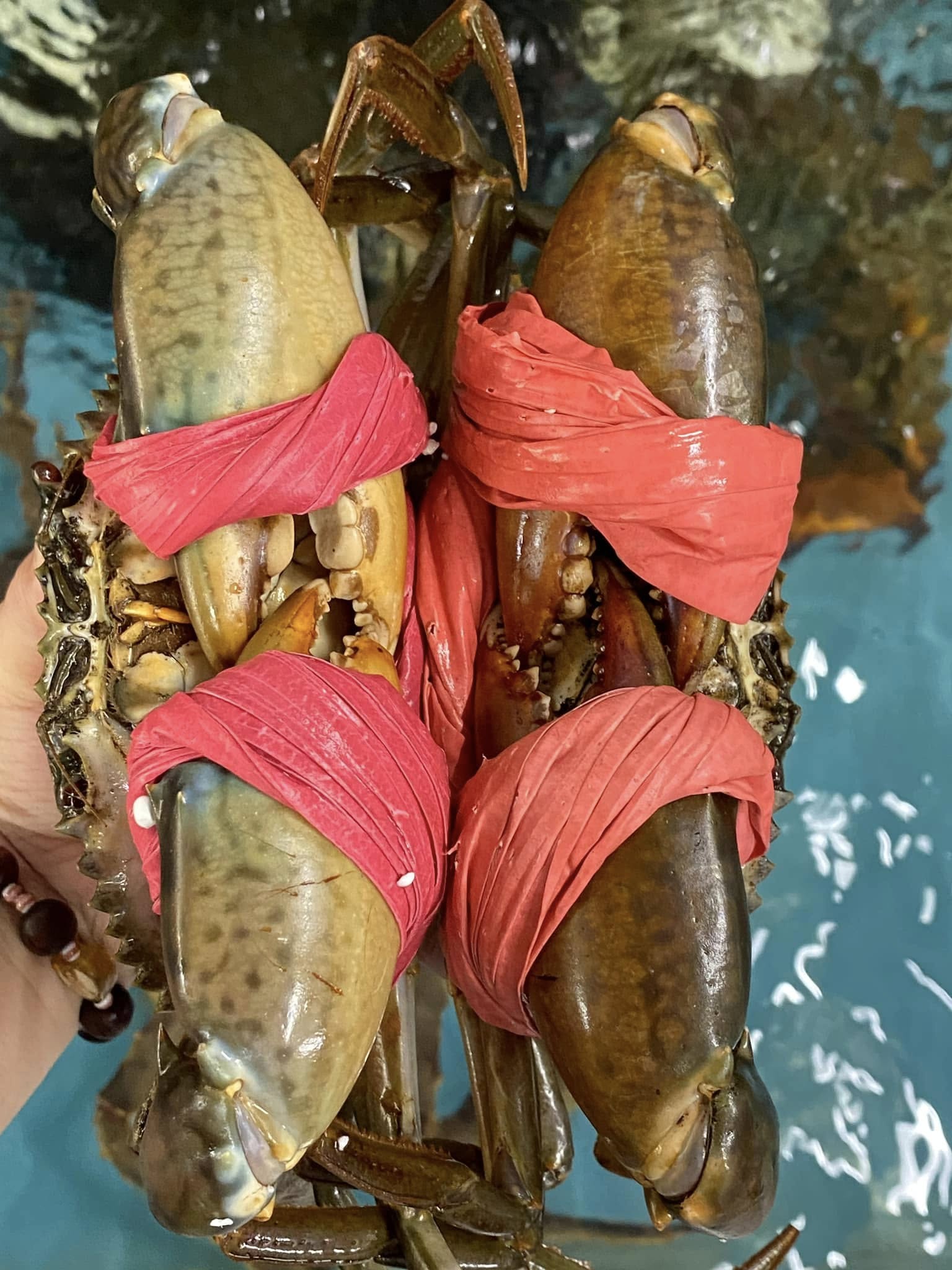 COMBO HẢI SẢN CHÀO HÈ – GIẢM SÂU GIÁ SỐC