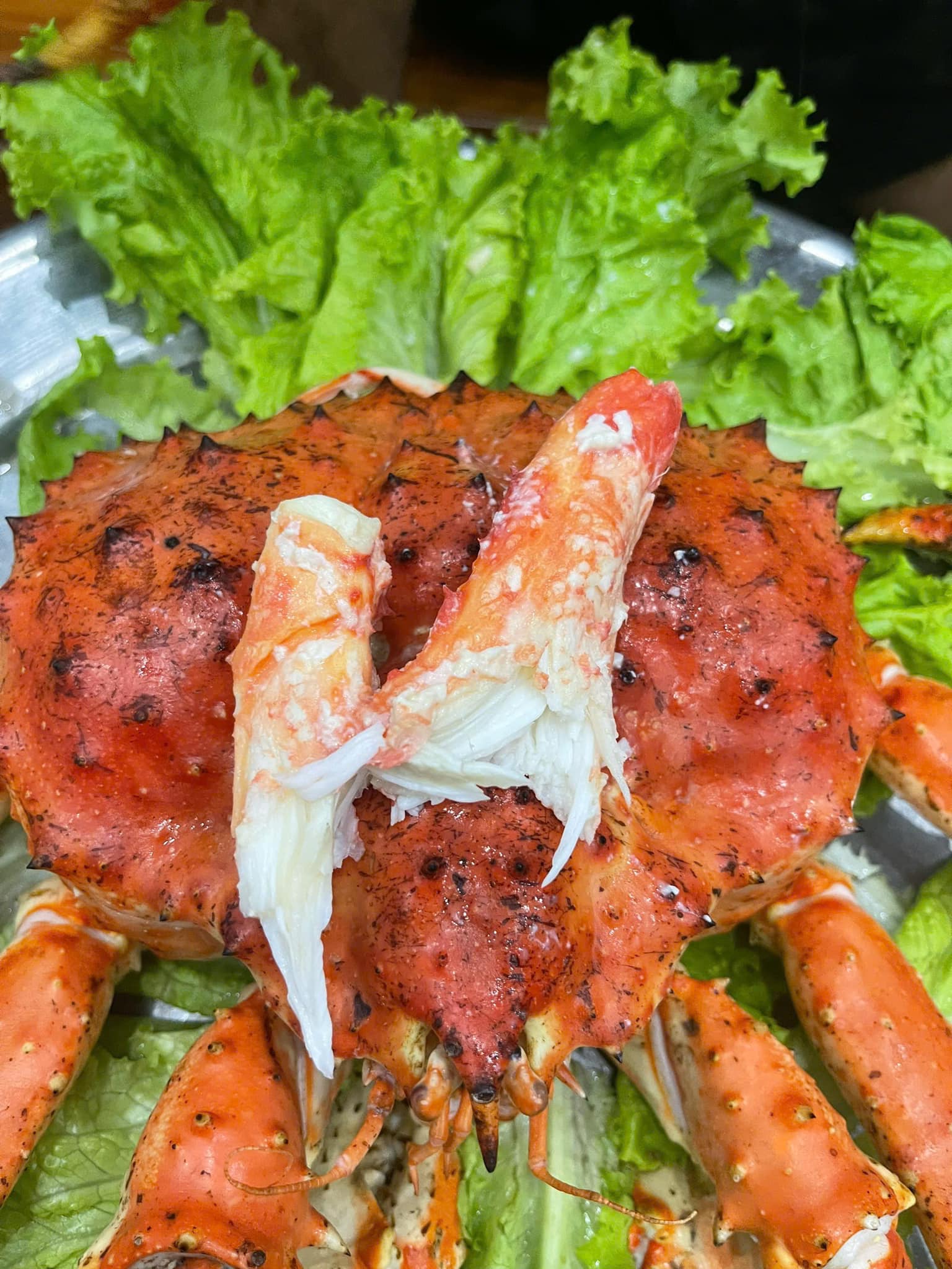 MÓN QUÀ ĐẦU NĂM - CUA KINGCRAB ĐỎ SALE LỚN, HIẾM CÓ KHÓ TÌM!