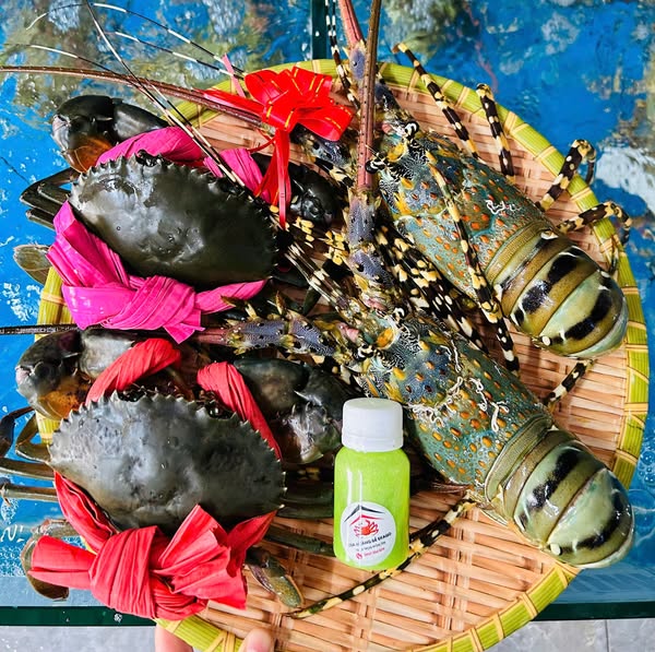 COMBO HẢI SẢN ĐẠI LỄ 30/4 – MÓN QUÀ TỪ BIỂN CẢ CHỈ 1.950K, BAO SHIP TẬN NHÀ!