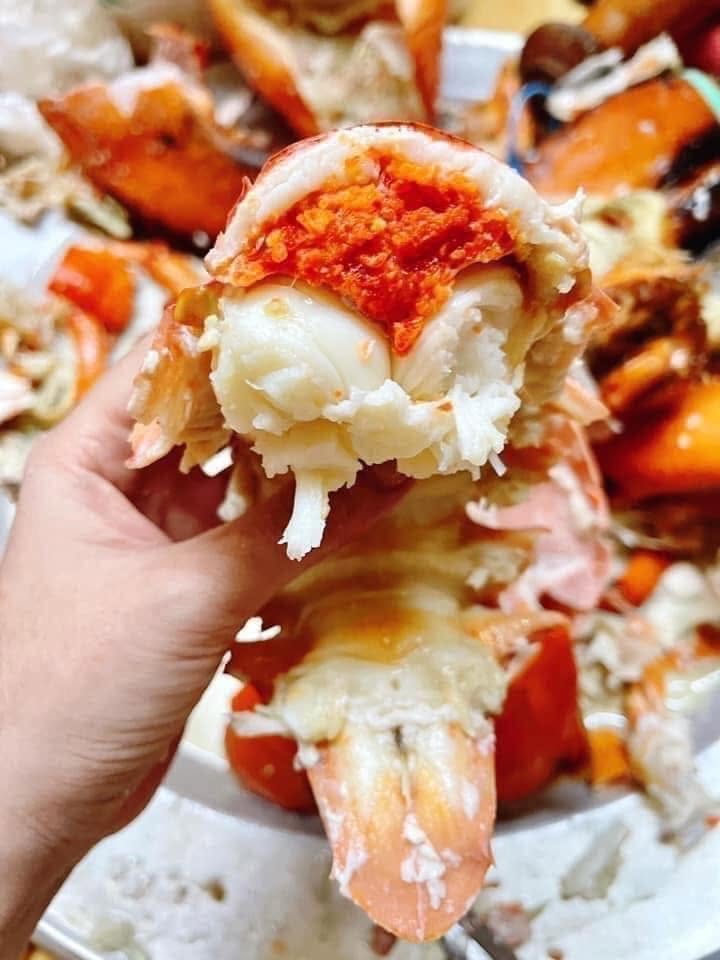 TÔM HÙM ÚC ĐỎ KHÁC GÌ TÔM HÙM ALASKA? NÊN CHỌN LOẠI NÀO?