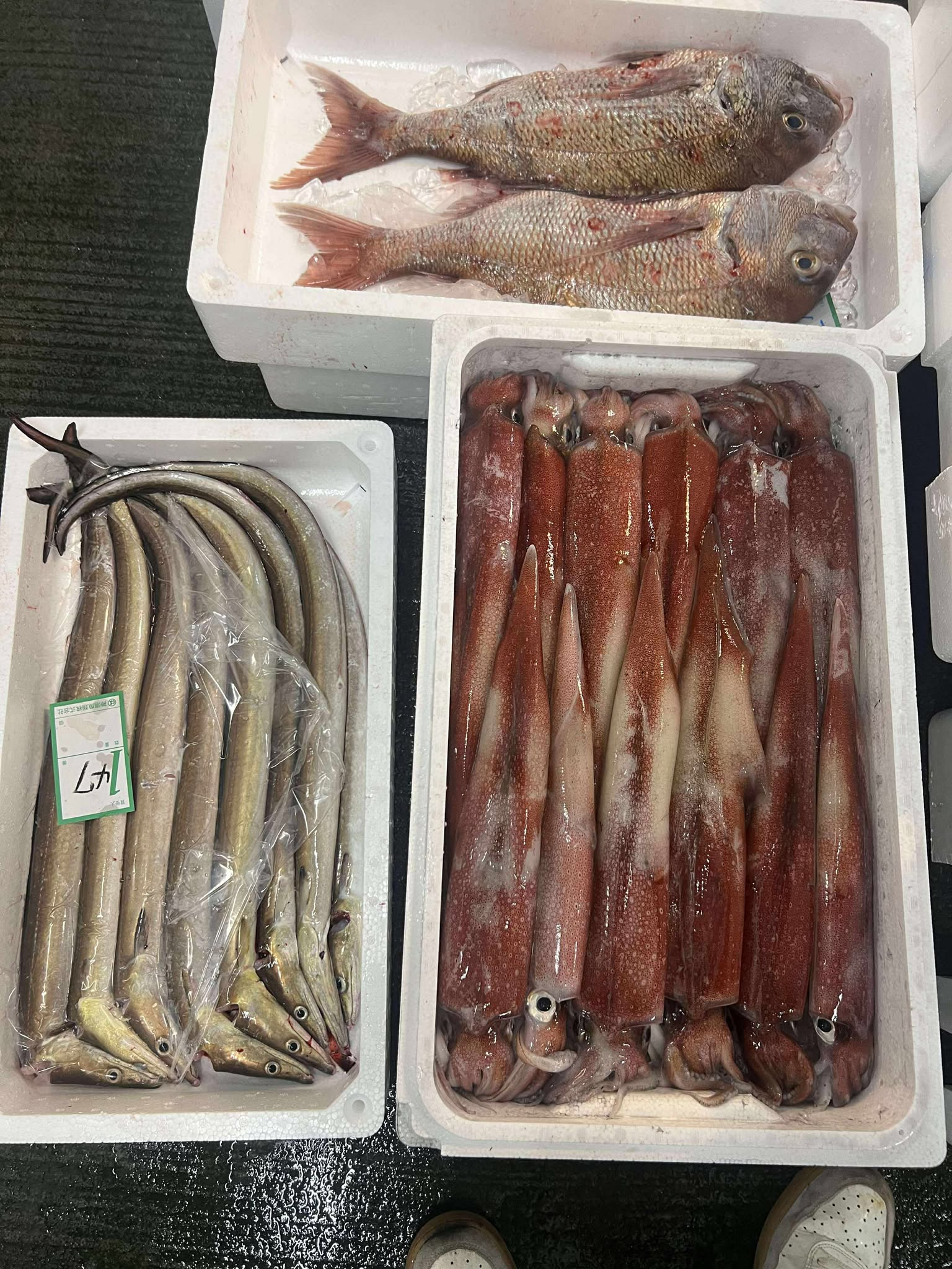 CÁC LOẠI MỰC PHỔ BIẾN TRÊN THỊ TRƯỜNG HẢI SẢN: ĐẶC ĐIỂM VÀ CÁCH LỰA CHỌN