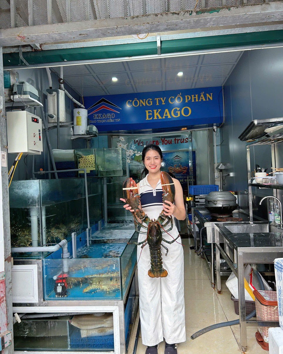TÔM HÙM ALASKA TƯƠI SỐNG – CHÍNH VỤ THỊT ĐẠT, GIÁ TỐT NHẤT NĂM