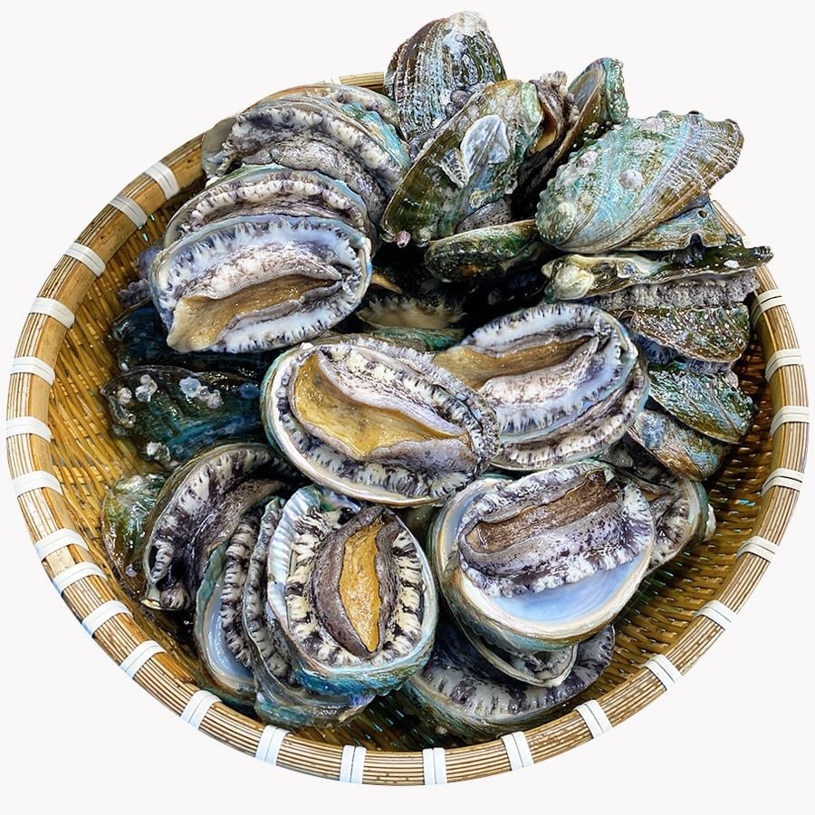 BÀO NGƯ HÀN QUỐC SỐNG GIẢM SỐC 50%  ĐÓN NĂM MỚI CHỈ CÒN 59.000