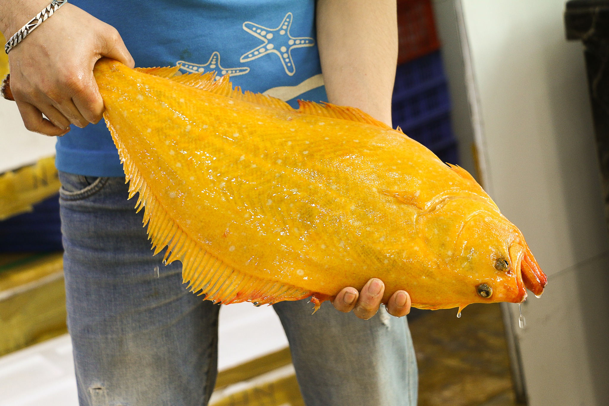 Bí Quyết Chế Biến Cá Bơn Vàng Ngon Tuyệt Để Chiêu Đãi Gia Đình Và Bạn Bè