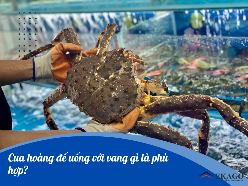 CUA HOÀNG ĐẾ UỐNG VANG GÌ THÌ HỢP?