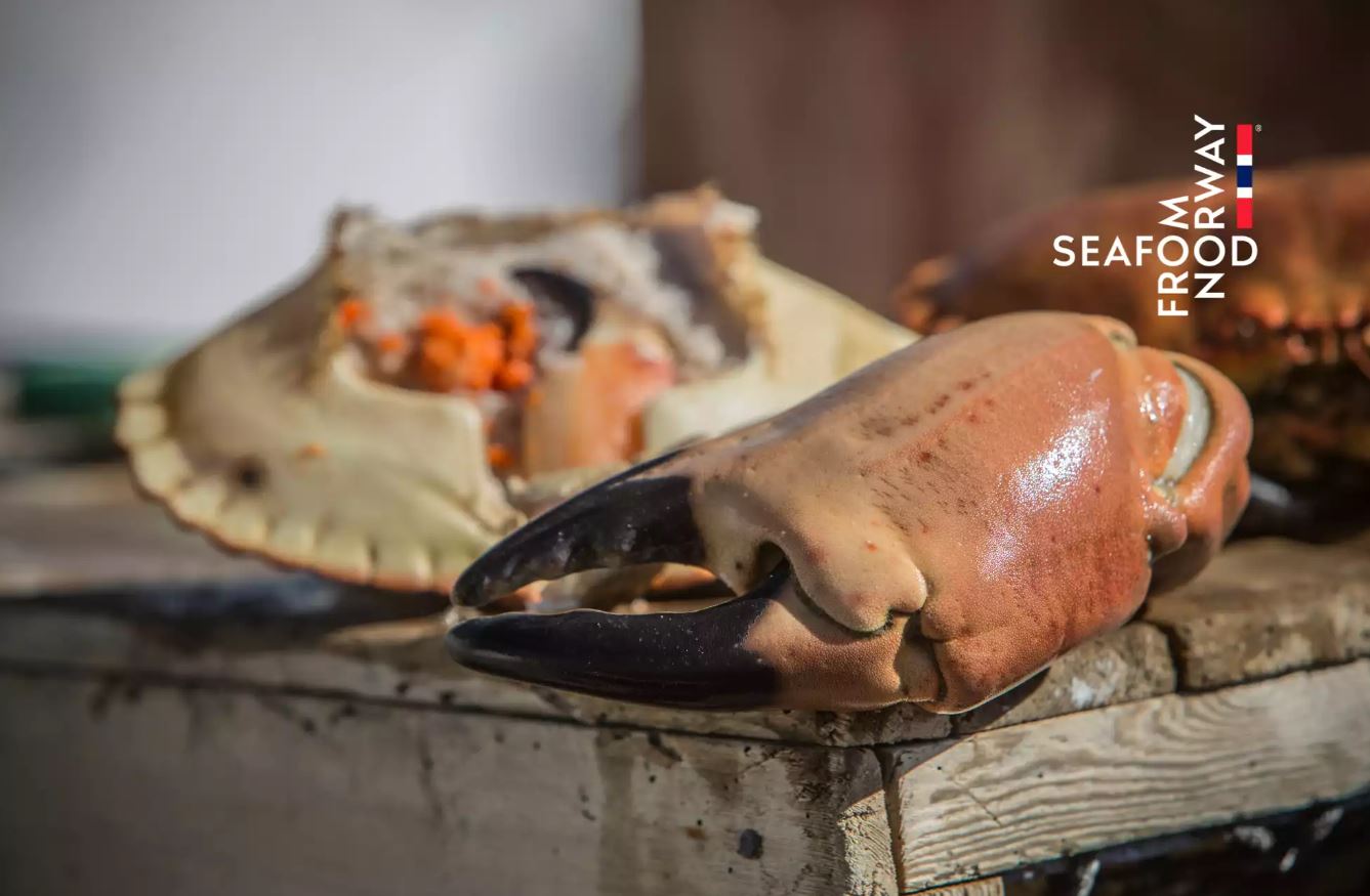 ĐÂU LÀ THỜI ĐIỂM CUA NÂU NAUY ĐƯỢC ĐÁNH BẮT NHIỀU NHẤT?