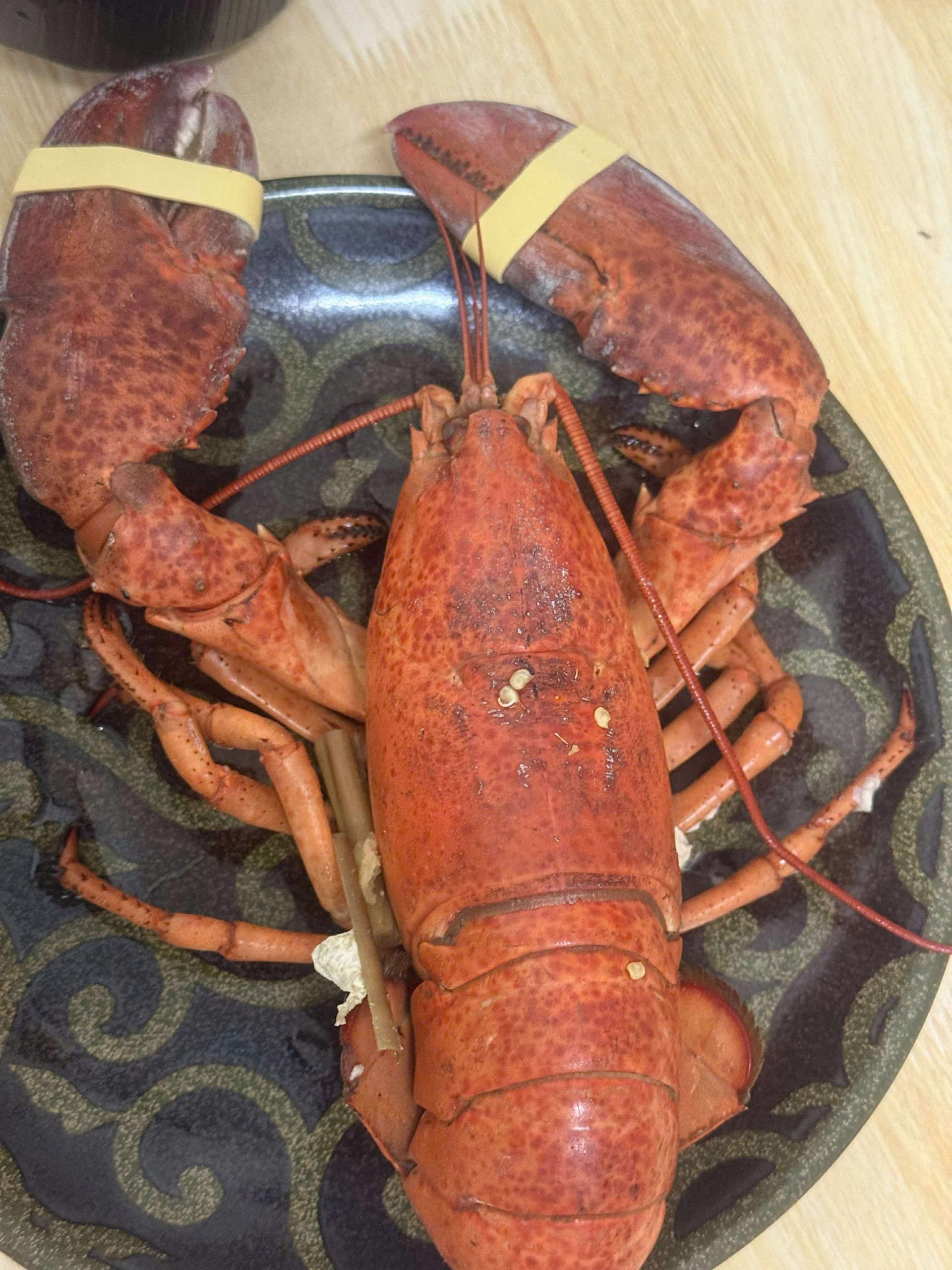 TÔM HÙM ALASKA – MÓN HẢI SẢN “ĐẮT GIÁ” CHO BỮA TIỆC QUỐC KHÁNH 2/9