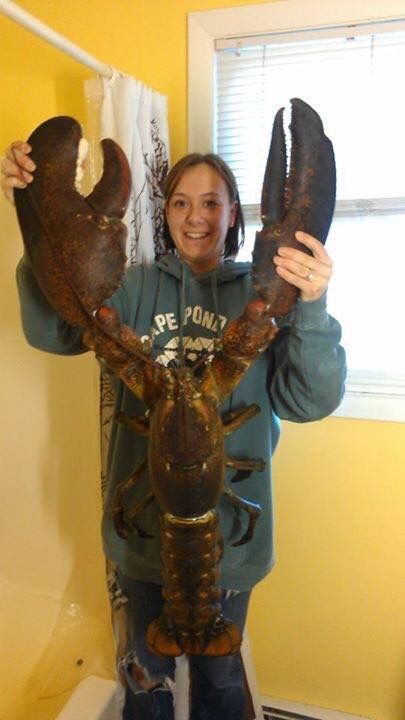 TÔM HÙM ALSASKA - MÓN QUÀ ĐẲNG CẤP TẾT 2025