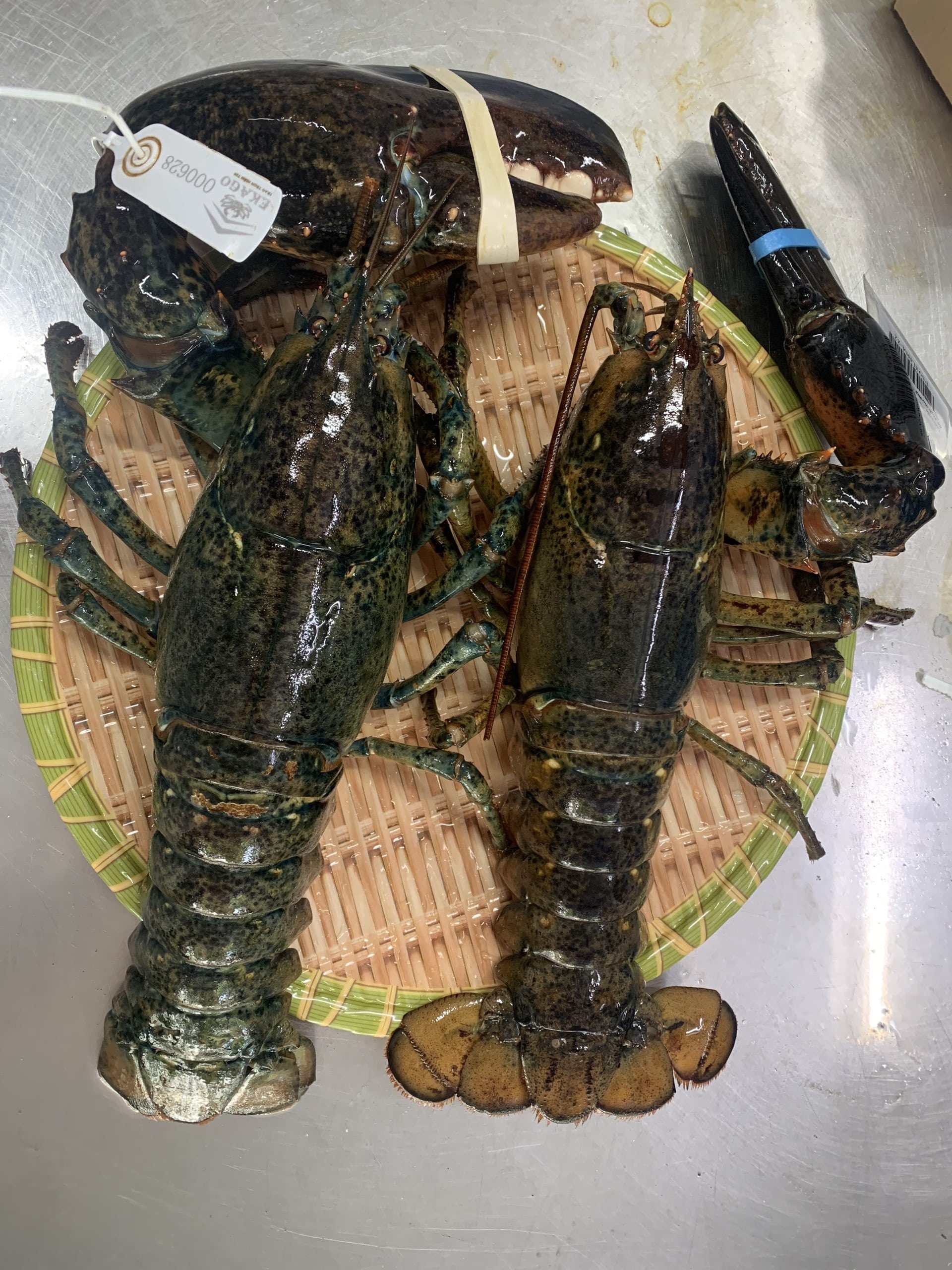 CÓ NÊN MUA TÔM HÙM ALASKA NGỘP?