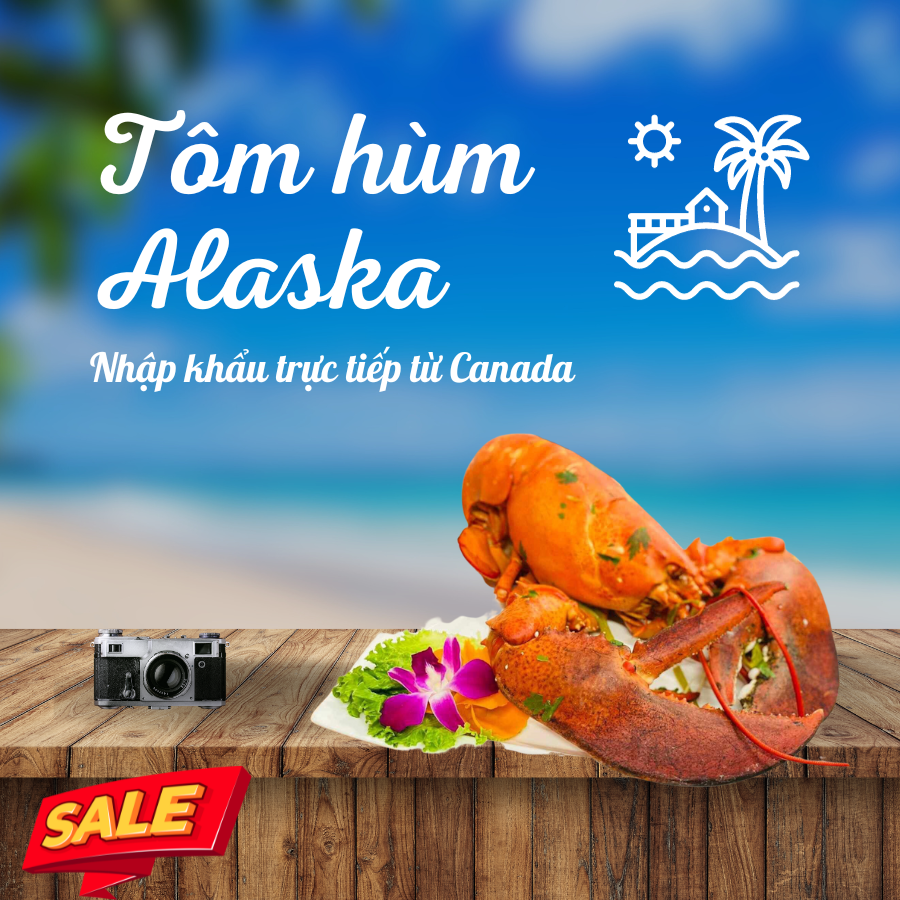 ĐỊA CHỈ MUA TÔM HÙM ALASKA TẠI HÀ NỘI