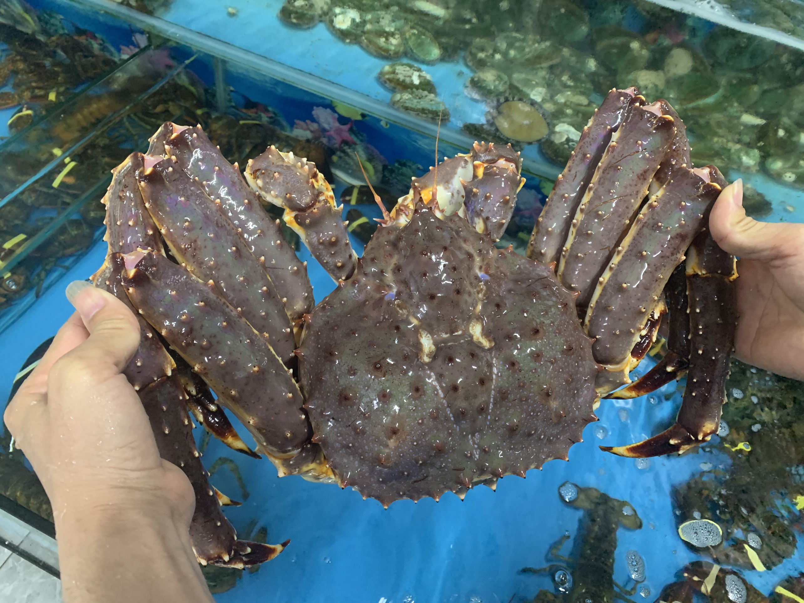 THỦ PHỦ CUA HOÀNG ĐẾ TẠI NAUY LÀ Ở ĐÂU?