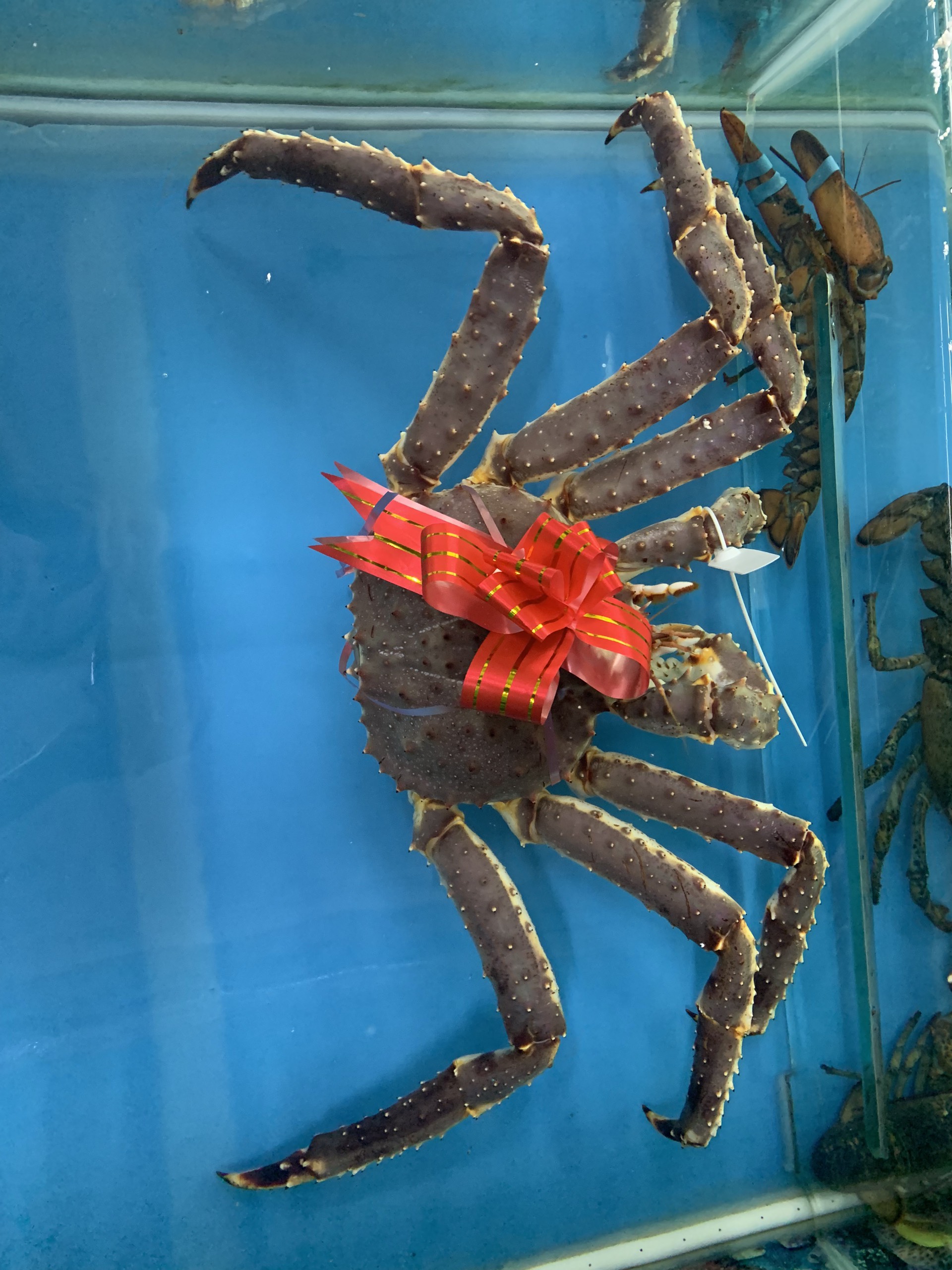 CUA HOÀNG ĐẾ SỐNG Ở ĐÂU?