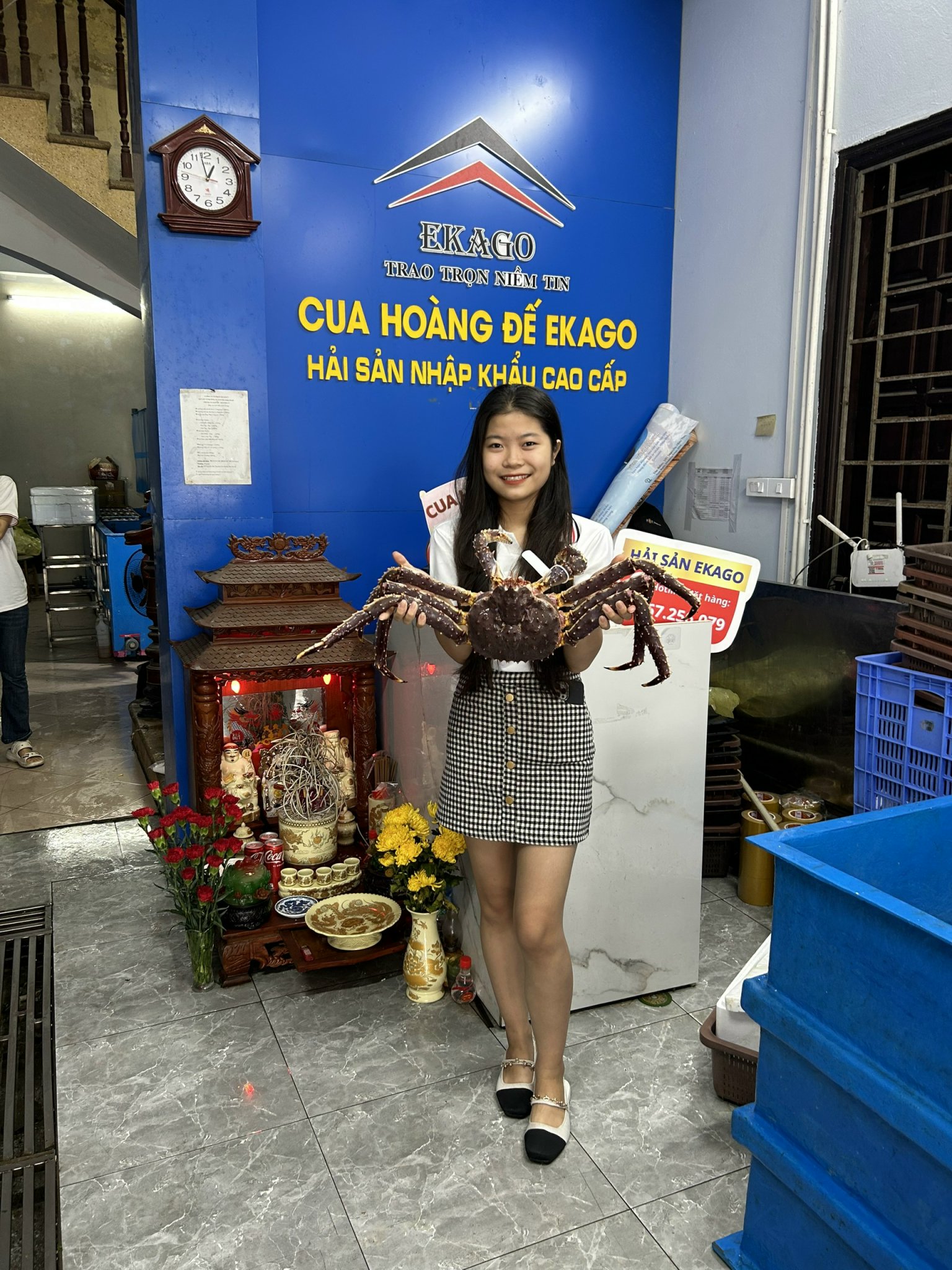 CUA HOÀNG ĐẾ LÀ CUA GÌ?